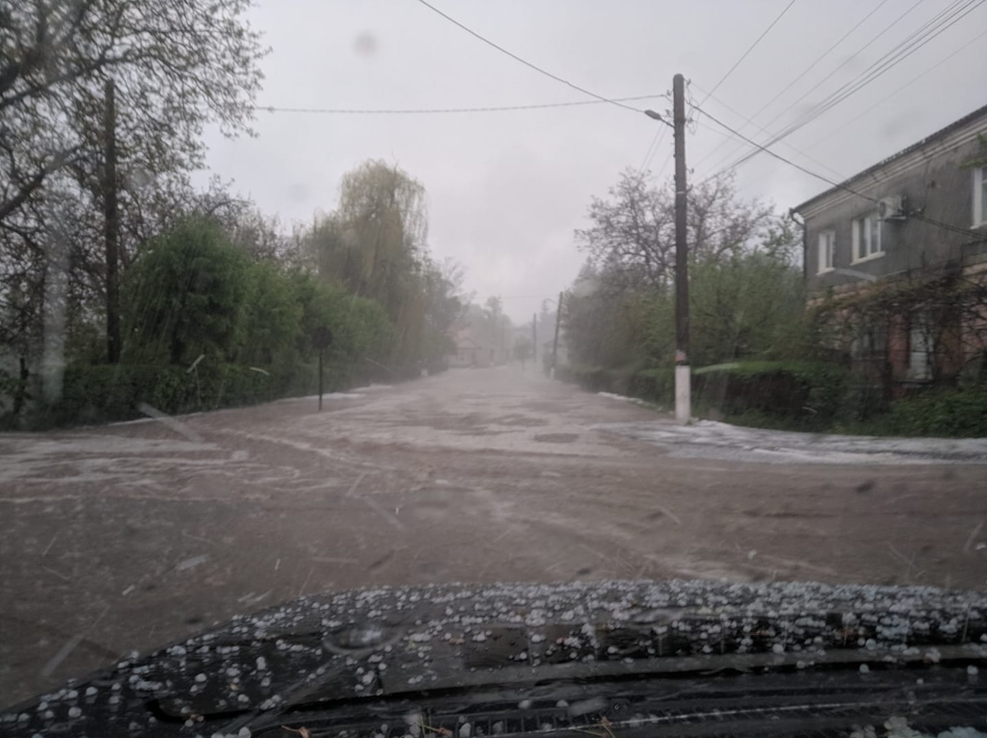 Поваленные деревья, град и потоки: ужасные последствия стихии в Украине