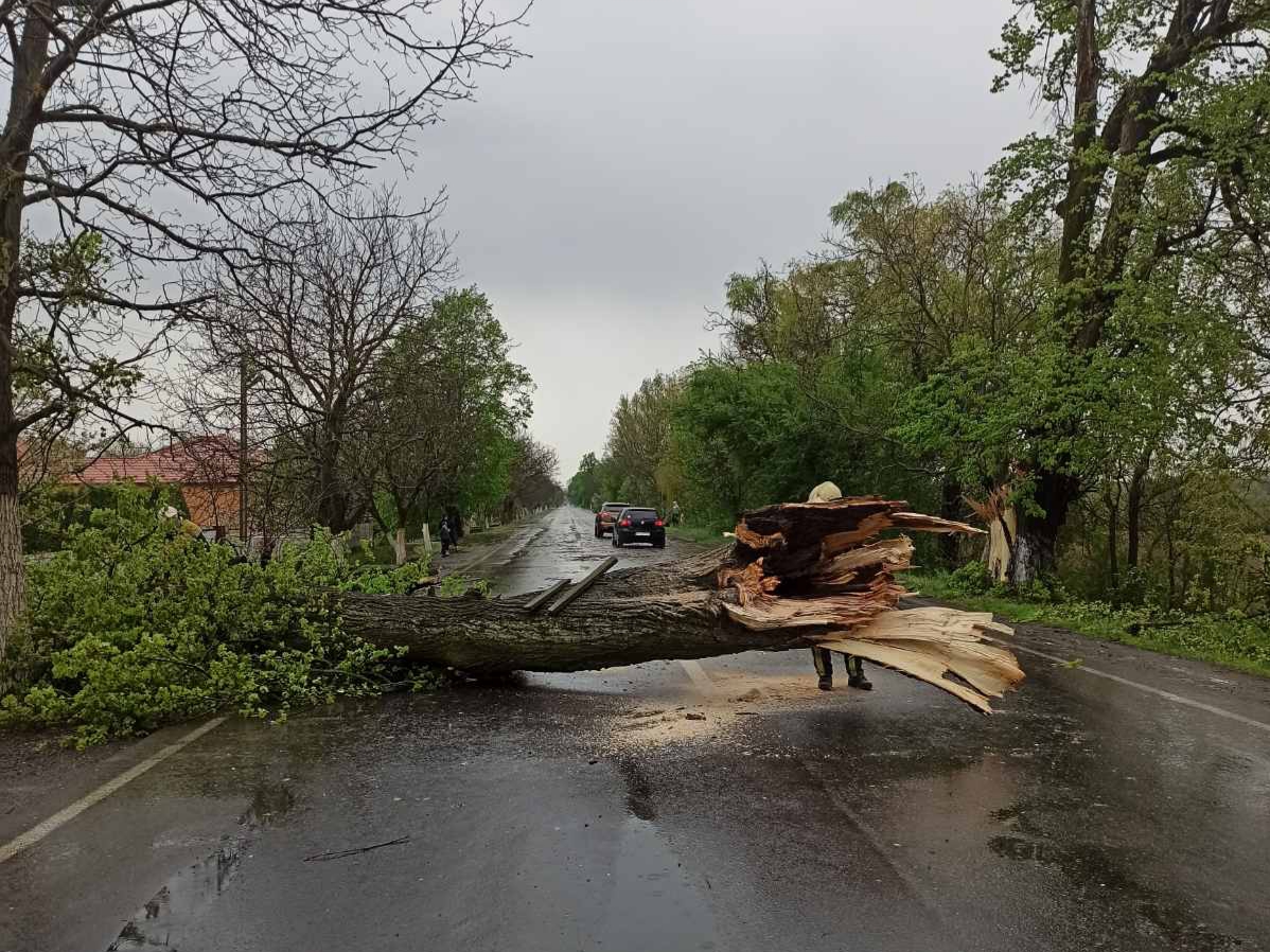 Ураган на Закарпатье срывал крыши и оставил без света целые города: фото и видео разрушений