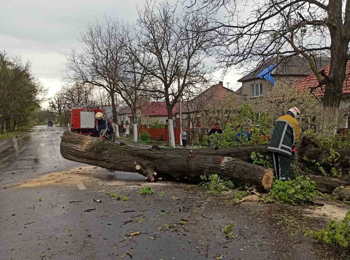 Ураган на Закарпатье срывал крыши и оставил без света целые города: фото и видео разрушений