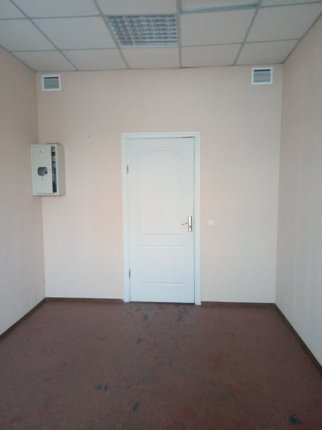 Хочу відкрити свій бізнес у "Борисполі": скільки коштує оренда невеликого приміщення