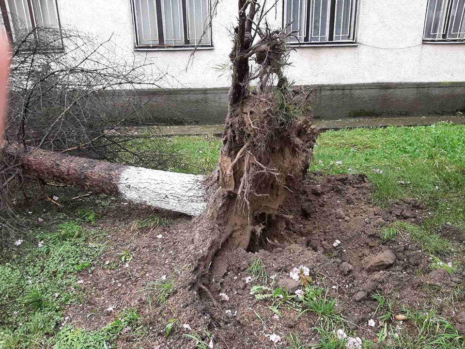 Ураган на Закарпатье срывал крыши и оставил без света целые города: фото и видео разрушений