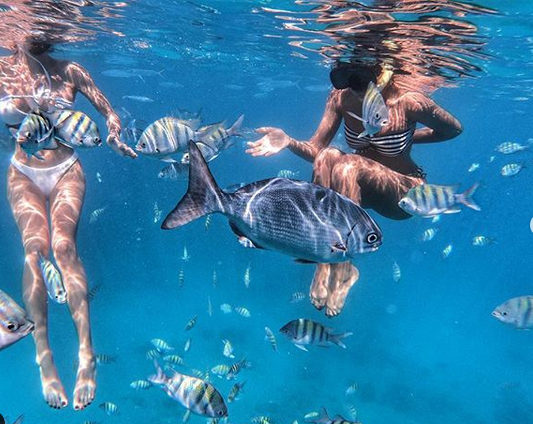 "Фантастично": екс-"ВІА Гра" в бікіні показала екзотичний підводний світ