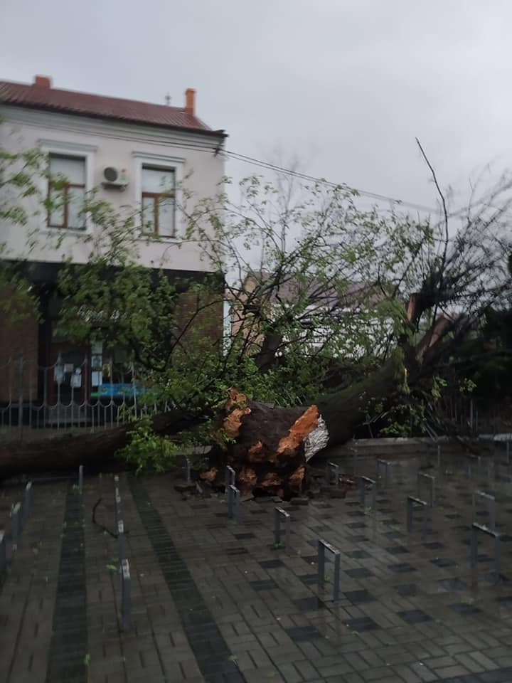 Ураган на Закарпатье срывал крыши и оставил без света целые города: фото и видео разрушений