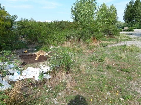 У Києві біля Дніпра оселилися дивні люди: кияни бояться за дітей