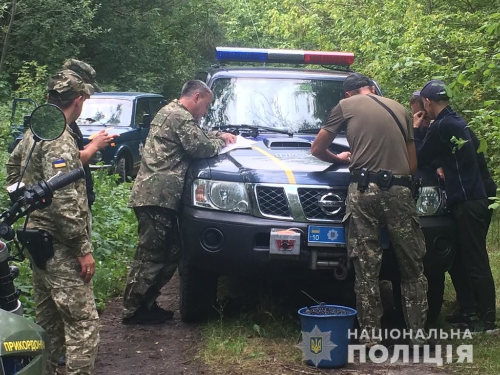 В Чернобыле снова собирают радиоактивную чернику: все подробности