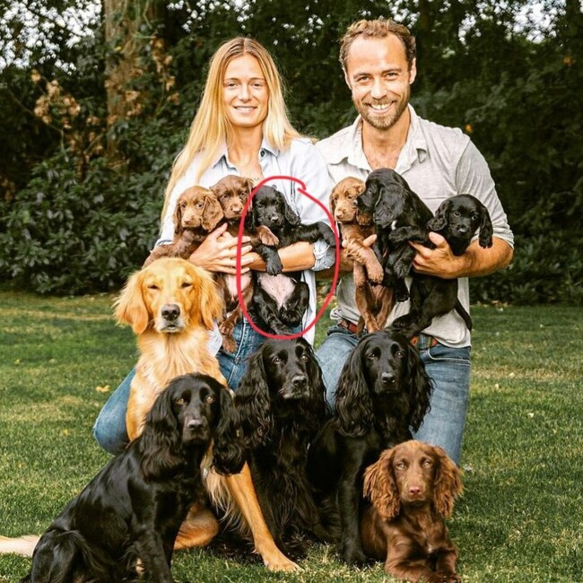 В сім'ї Кейт Міддлтон і принца Вільяма поповнення: з'явилося миле фото