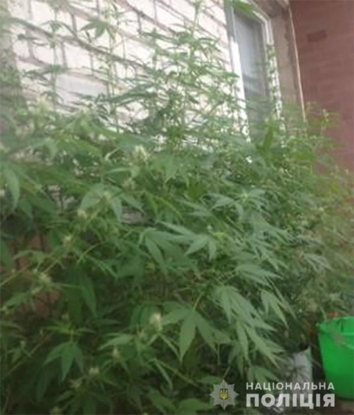 В Запорожской области полиция ликвидировала лабораторию по изготовлению метамфетамина