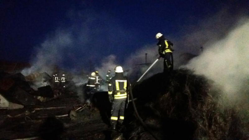 В Запорожье на предприятии по переработке резины горели шины