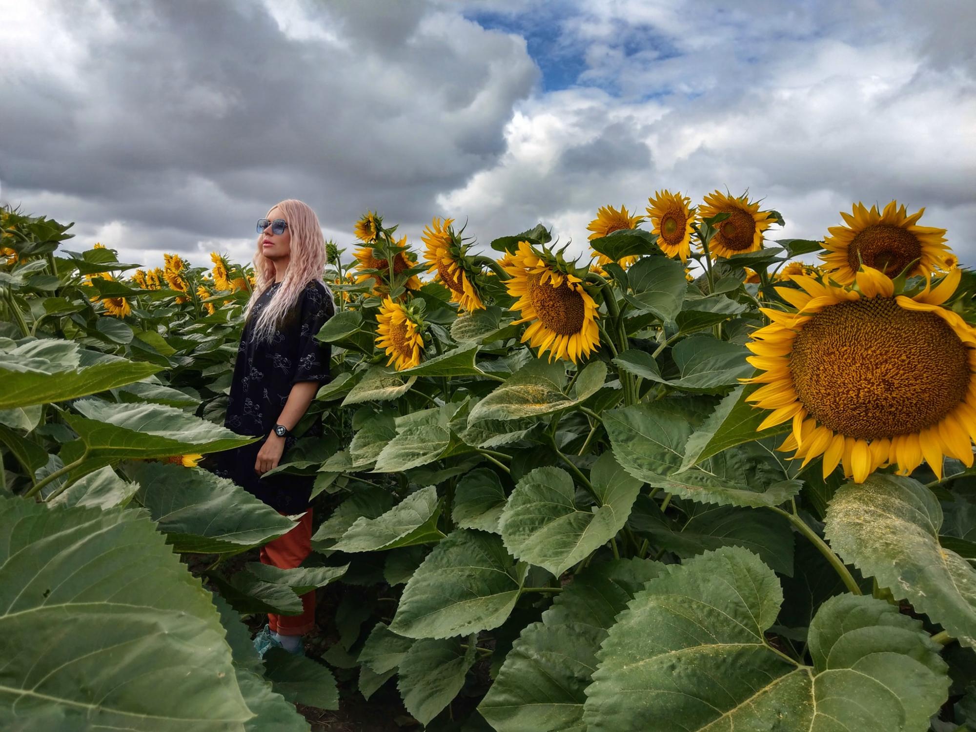 Травести-дива Монро устроила яркую фотосессию среди подсолнухов
