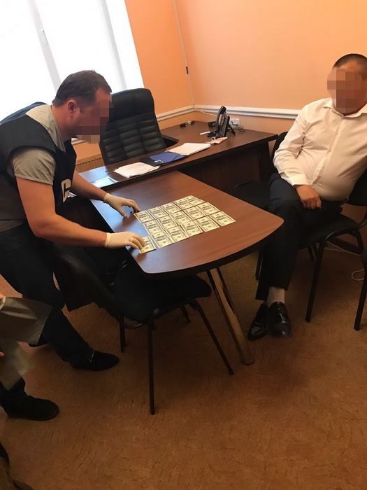 СБУ затримала депутата райради на підкупі за прикриття нелегального видобутку бурштину