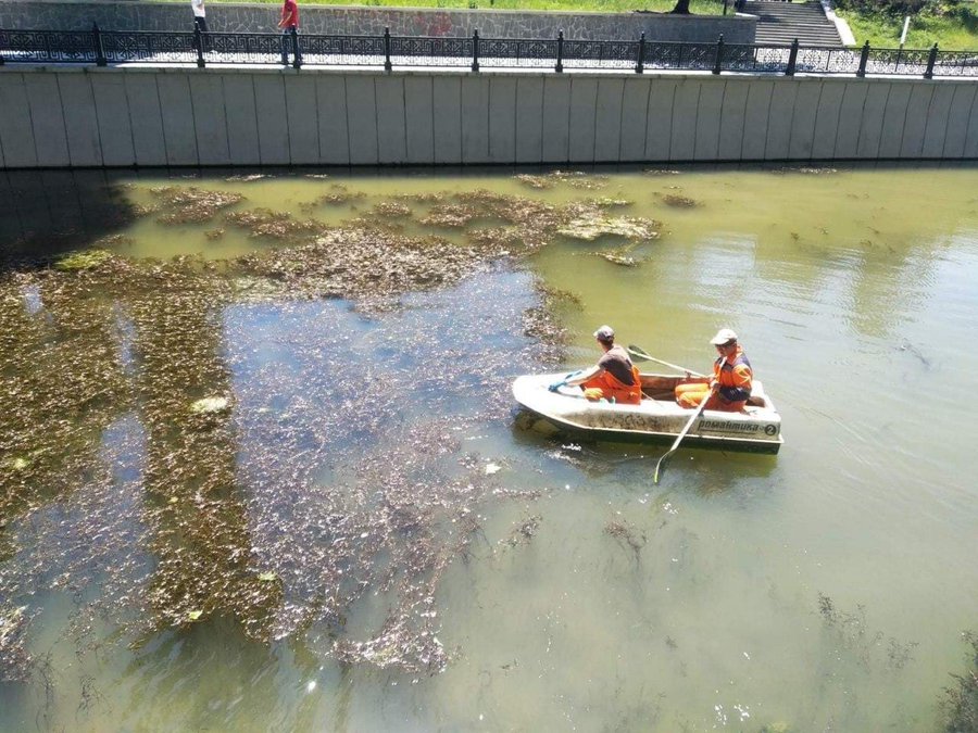Пляжі порожні, а ціни злетіли: з'явилися фото проваленого "сезону" в Криму