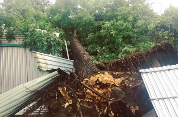 Срывал крыши с домов: фото страшных последствий урагана под Одессой