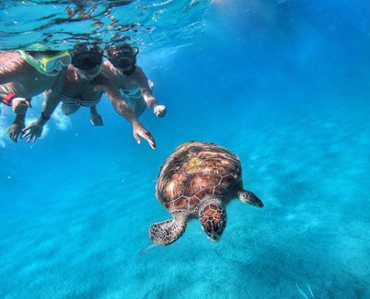 "Фантастично": екс-"ВІА Гра" в бікіні показала екзотичний підводний світ