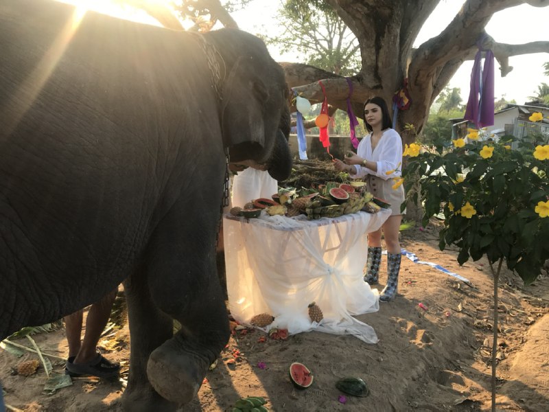 Холостяк-10 в Таиланде: проект неожиданно покинула одна из сильнейших участниц