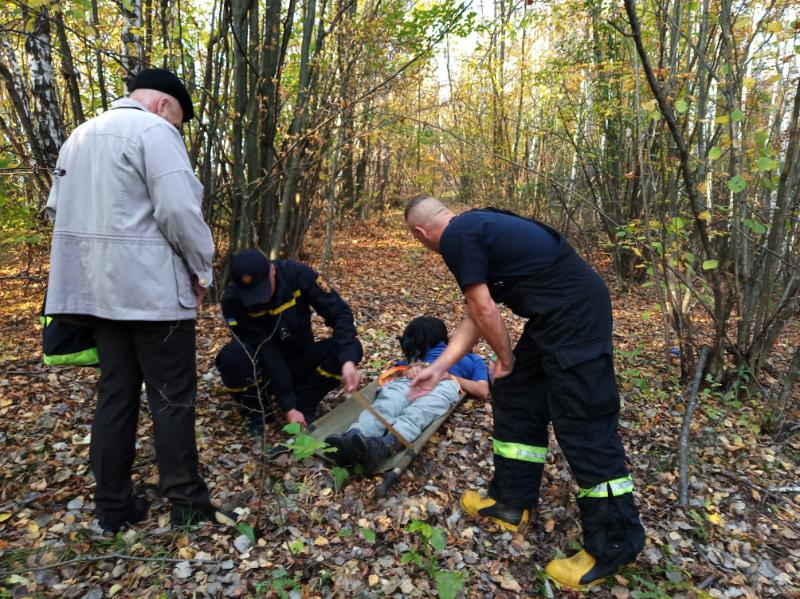Справжній друг: на Закарпатті собака врятував життя чоловікові