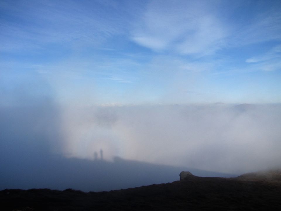 В Карпатах в объектив камеры попался "горный призрак": впечатляющее фото