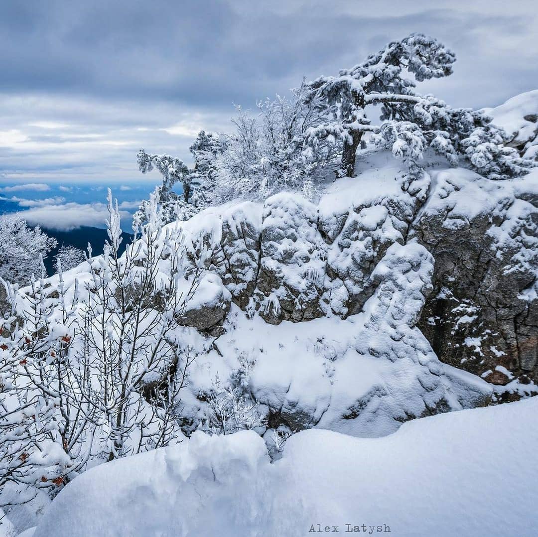 В Крым пришла настоящая зима: от красоты захватывает дух (фото, видео)