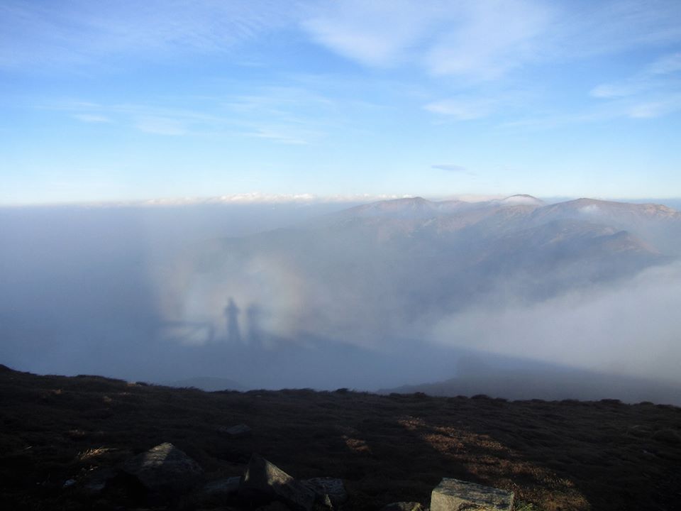 В Карпатах в объектив камеры попался "горный призрак": впечатляющее фото