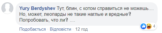 В центре Киева снова заметили леопарда: хищника сняли на видео