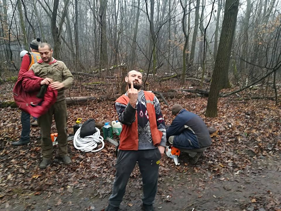 В одном из парков Киева нещадно рубят лес: прошли первые "разборки" (фото)