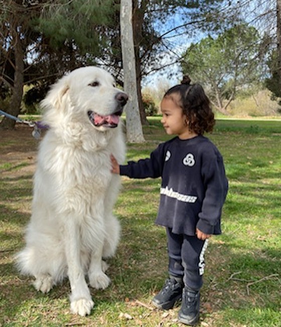 Мамині дочки: Кім Кардашян показала, як проводить час зі своїми малятами