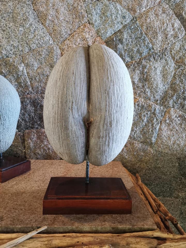 Богдан на Сейшелах скучает по девочкам: нетрадиционные и страшненькие