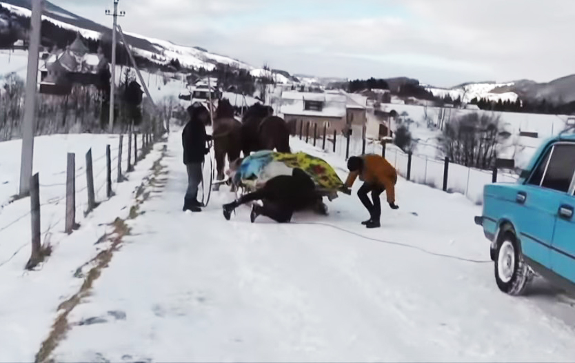 "Казкові канікули": група KAZKA мила слона і откапывала зі снігу Жигулі