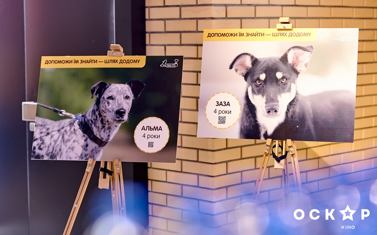 Логунова и Кривошапко посетили благотворительную премьеру фильма "Путь домой"