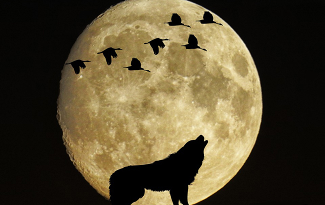 Уникальное астрономическое явление: Волчья Луна в январе 2020