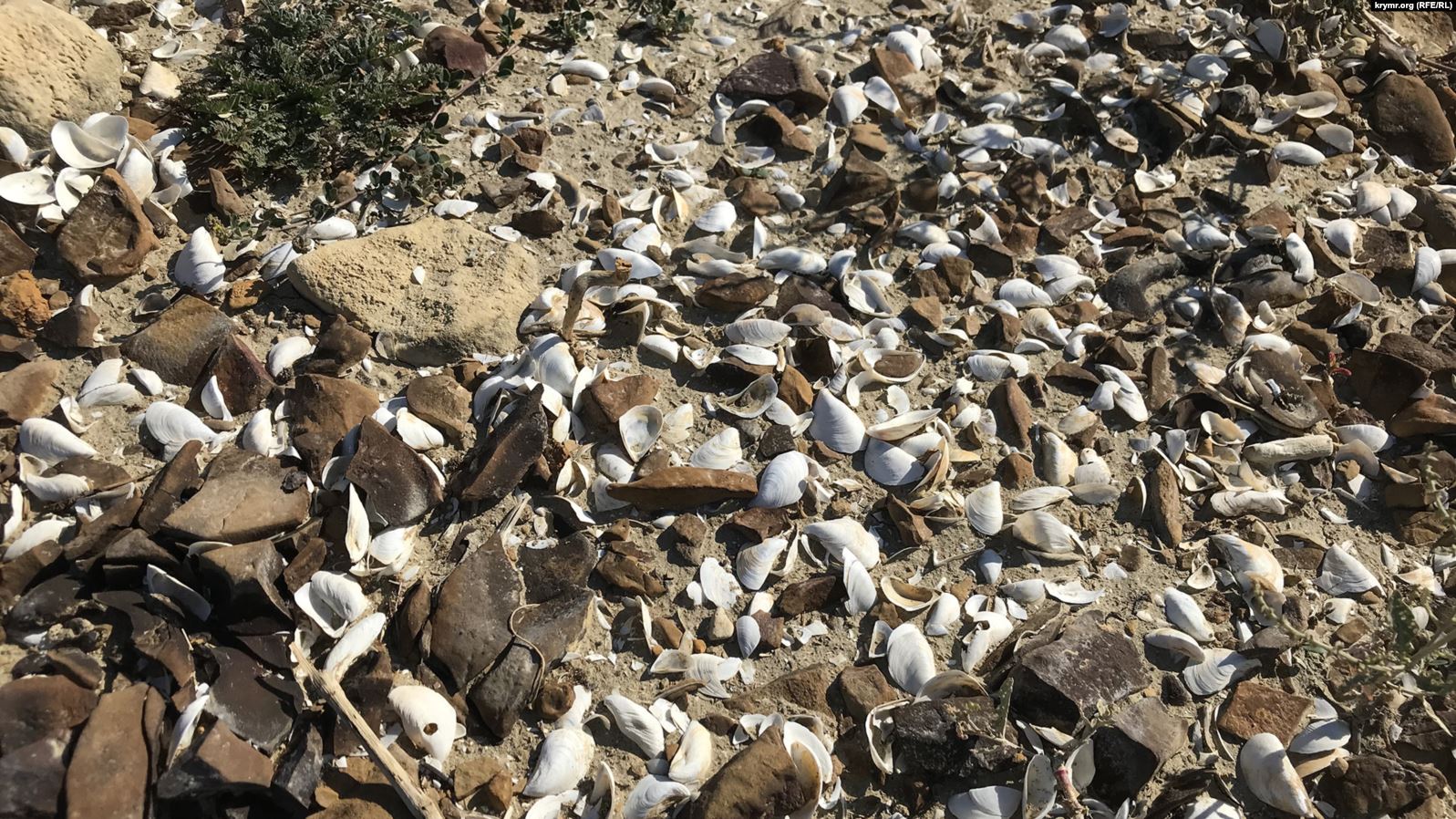 В Криму гине ще одне водосховище: скоро повністю зникне
