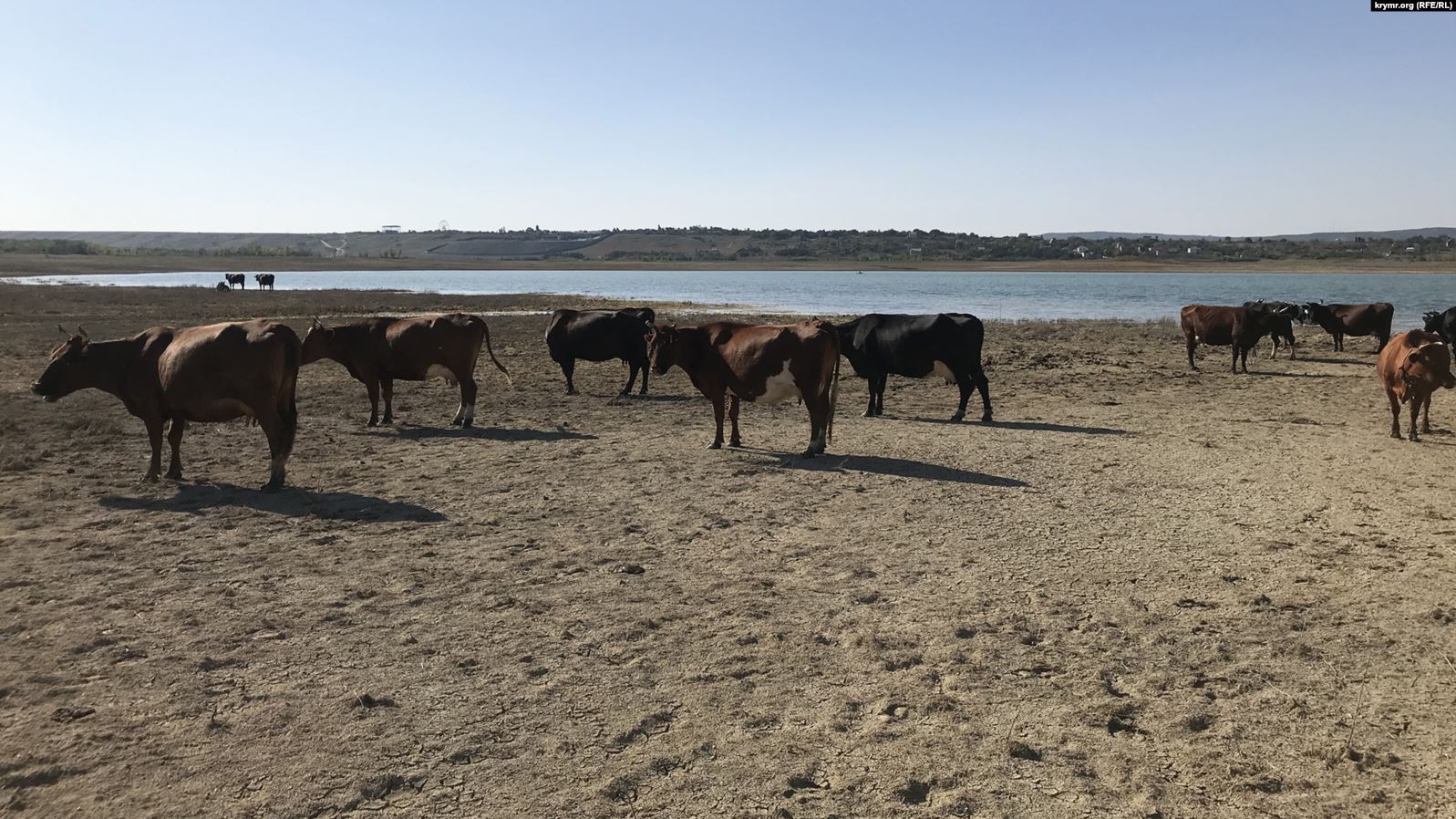 В Криму гине ще одне водосховище: скоро повністю зникне