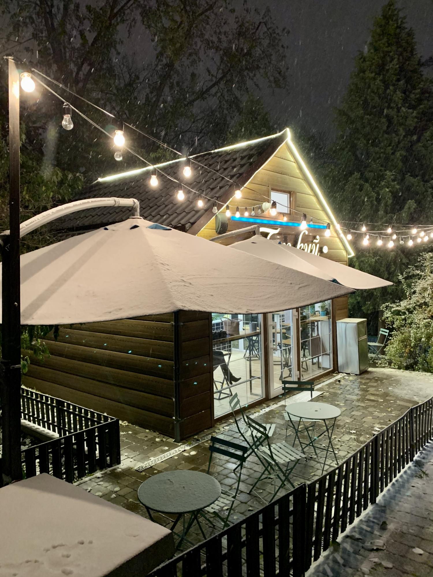 У Києві випав перший сніг: фото і відео запорошеної столиці