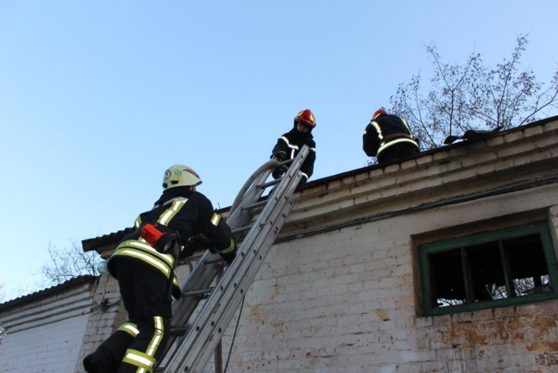 У Київському зоопарку сталася пожежа, частину тварин евакуювали