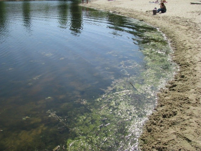 Может ли ДПТ стать разновидностью государственно-частного партнерства?