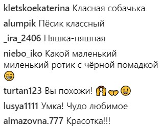 Максимально мило: украинские звезды показали своих питомцев (фото)
