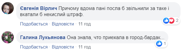 Немного нарушала: в Херсоне заметили авто посла Германии, припаркованное на "зебре" (фото)