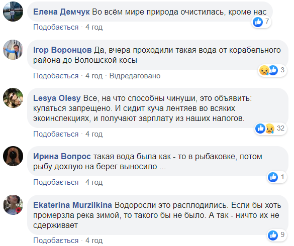 У Миколаєві вода на пляжі перетворилася в зелену рідину: що відбувається