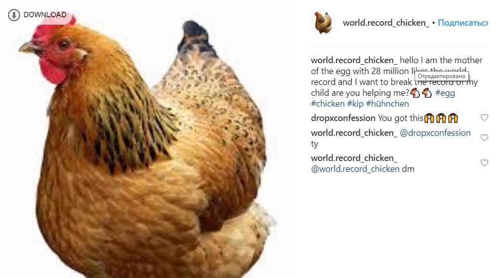 Яйце-рекордсмен: нова зірка Instagram побила рекорд по лайкам