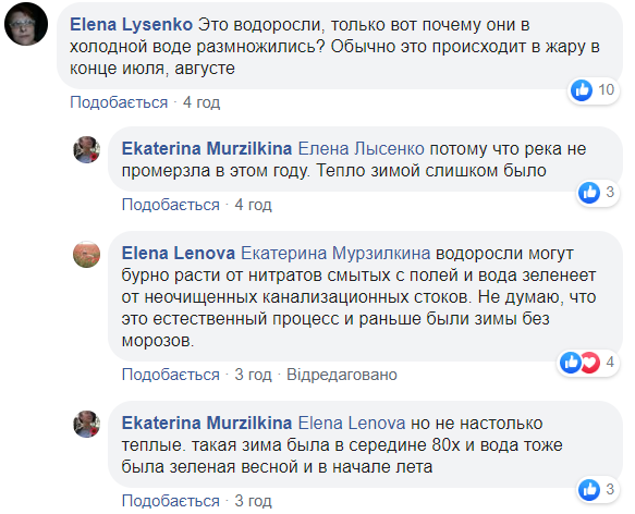 У Миколаєві вода на пляжі перетворилася в зелену рідину: що відбувається