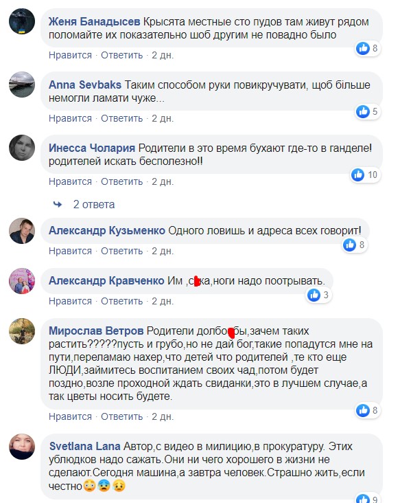 Кидали цеглини у авто: свавілля малоліток в Харкові показали на відео