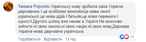 Троль рівня 100500: Порошенко "підірвав" мережу відповіддю щодо "мовного закону" (відео)