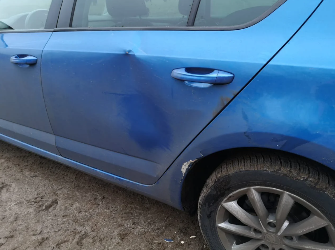 Під Києвом в еко-парку на сім'ю напало стадо бізонів: подробиці інциденту