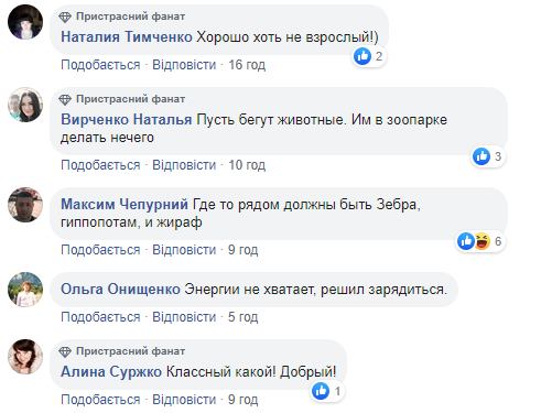 В Харькове в ТРЦ к посетителям прибежал львенок: момент попал на видео
