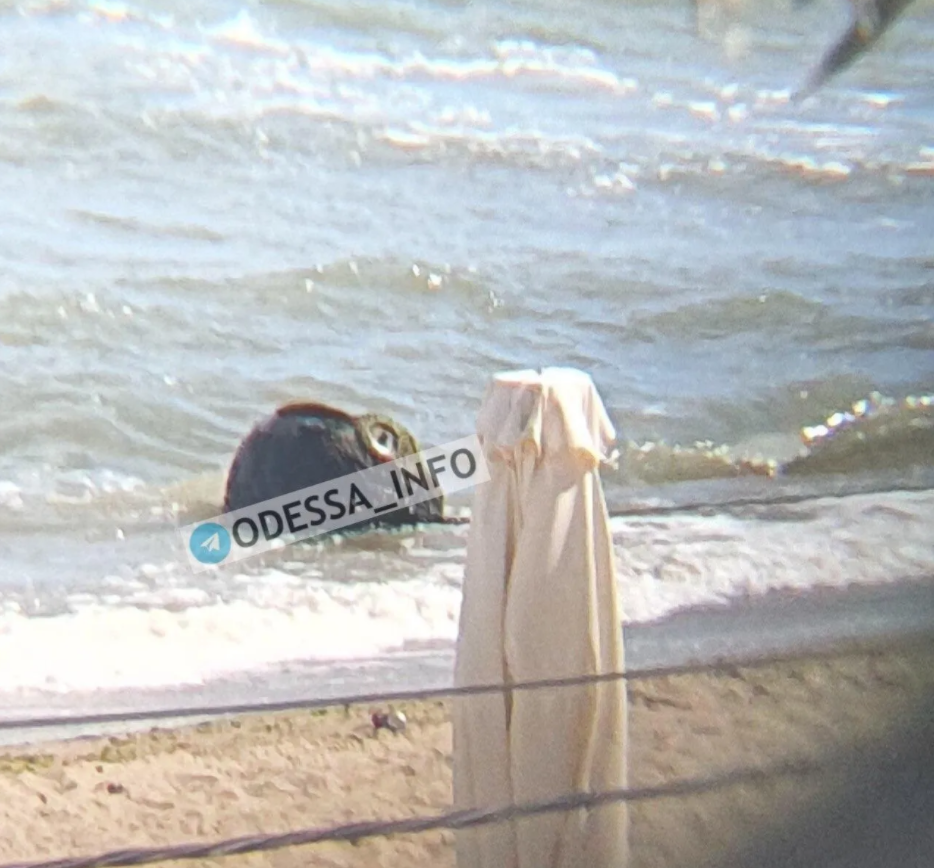 На курорте под Одессой случайно нашли огромную мину на переполненном пляже (видео)