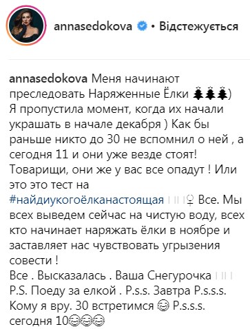 "Год Чебурашки": Седокова покорила сеть оригинальным новогодним фото