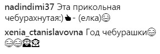 "Год Чебурашки": Седокова покорила сеть оригинальным новогодним фото