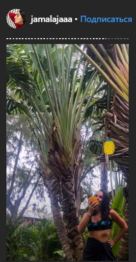 "Впечатляющая природа": Джамала похвасталась захватывающими видами Маврикия (фото)