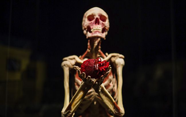 Куда пойти в Киеве: Зимняя страна, ДахаБраха и другие яркие шоу декабря