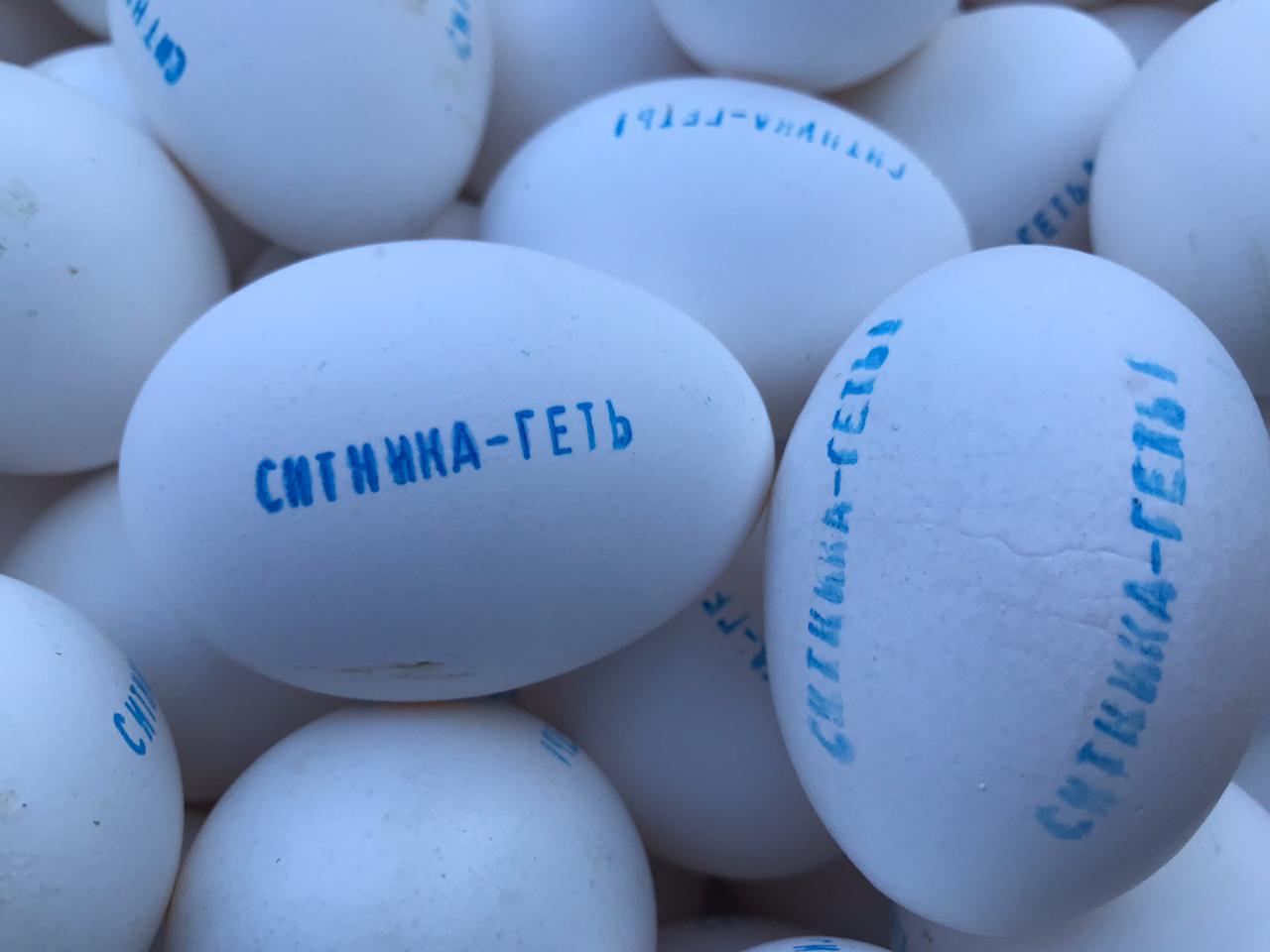 Аграрії вийшли на мітинг з вимогою звільнити директора НАБУ