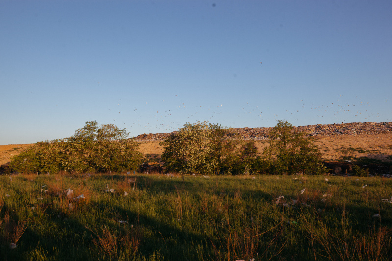 "Сміттєзвалище і пластикові пакети": ONUKA та Алан Бадоєв презентували новий яскравий кліп
